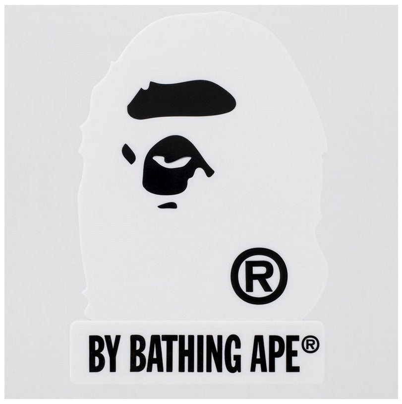 A BATHING APE Room Light 2023 SPRING/SUMMER COLLECTION Book Appendix