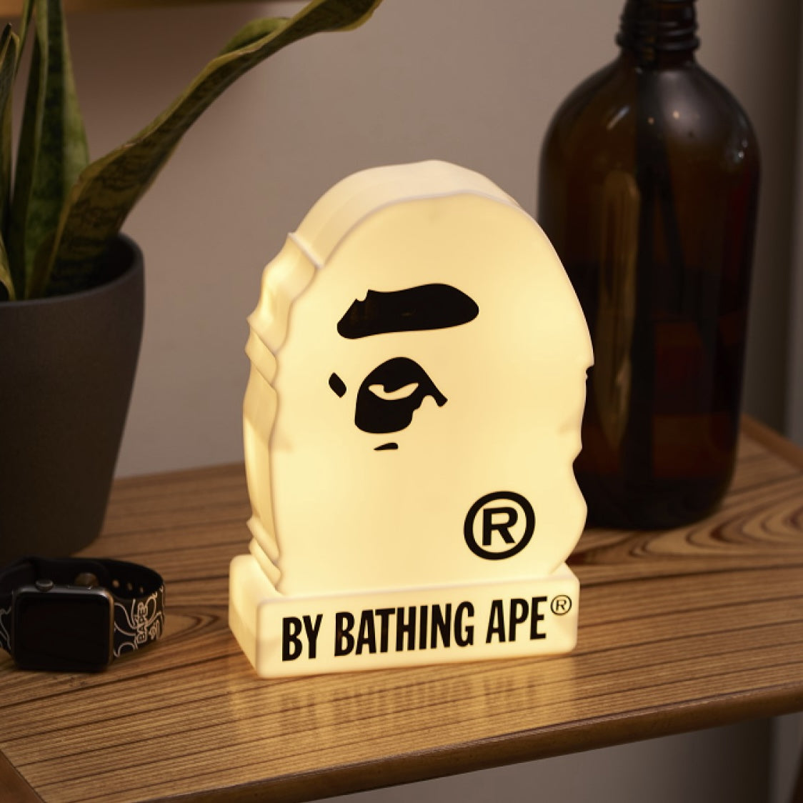 A BATHING APE Room Light 2023 SPRING/SUMMER COLLECTION Book Appendix