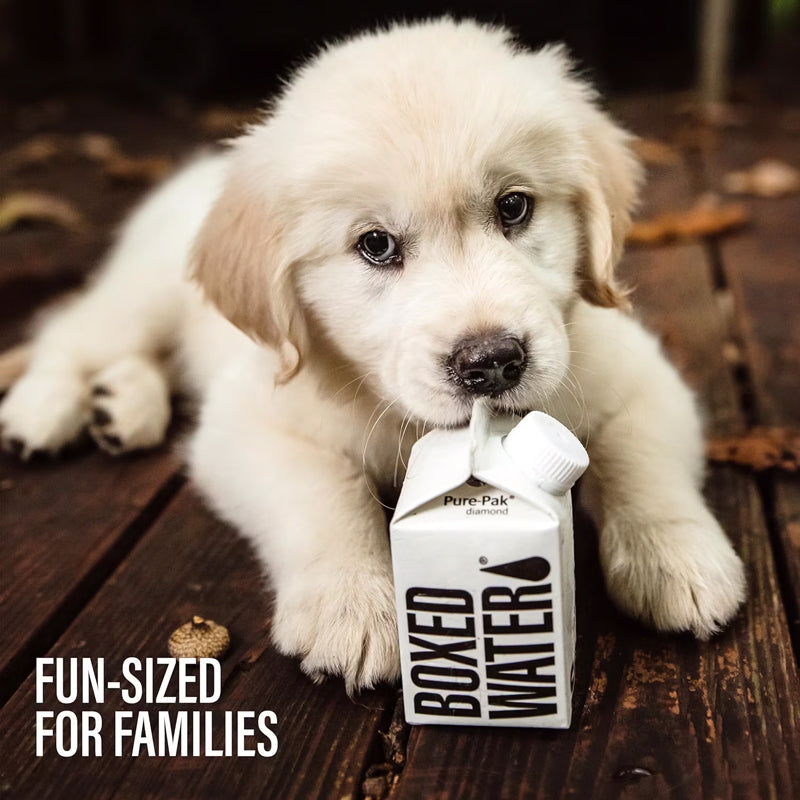 250ml Boxed Water