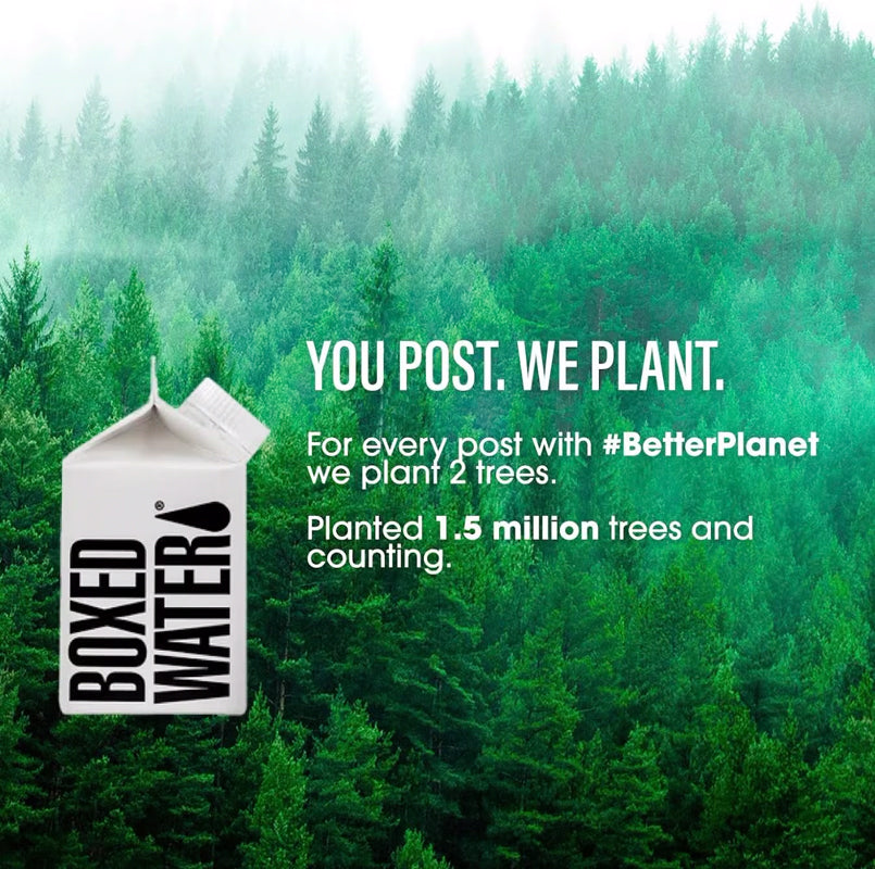 250ml Boxed Water