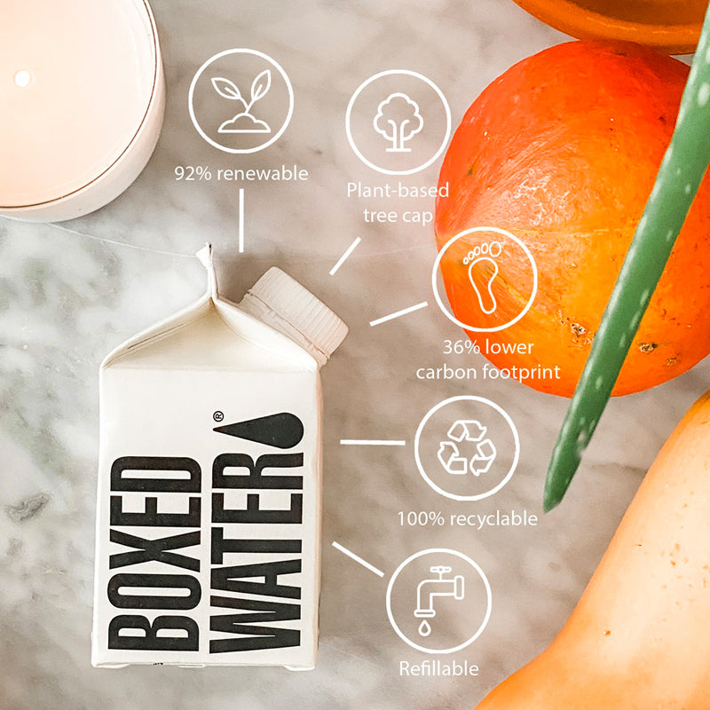 250ml Boxed Water
