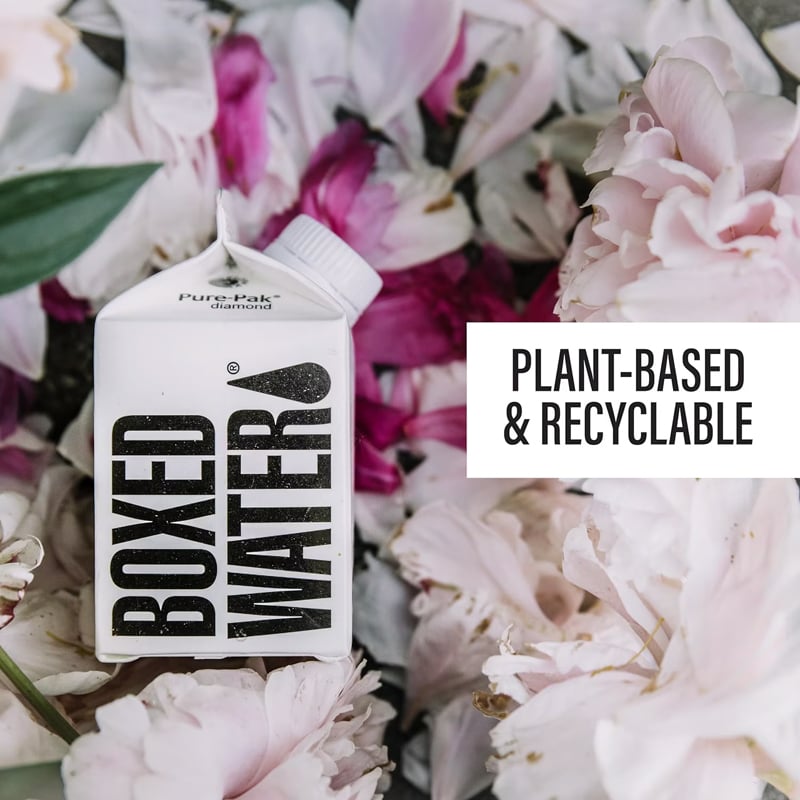 250ml Boxed Water