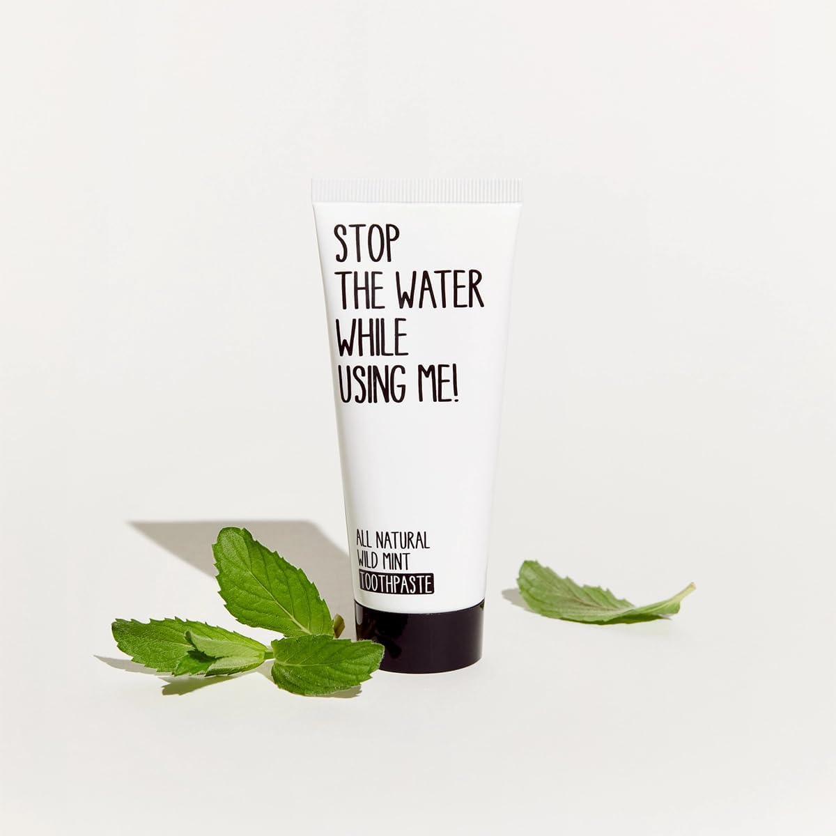 Oral Care Kit Wild Mint Toothpaste + Bamboo Toothbrush