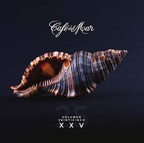 Café del Mar Vol. 25 2019 (2CD)