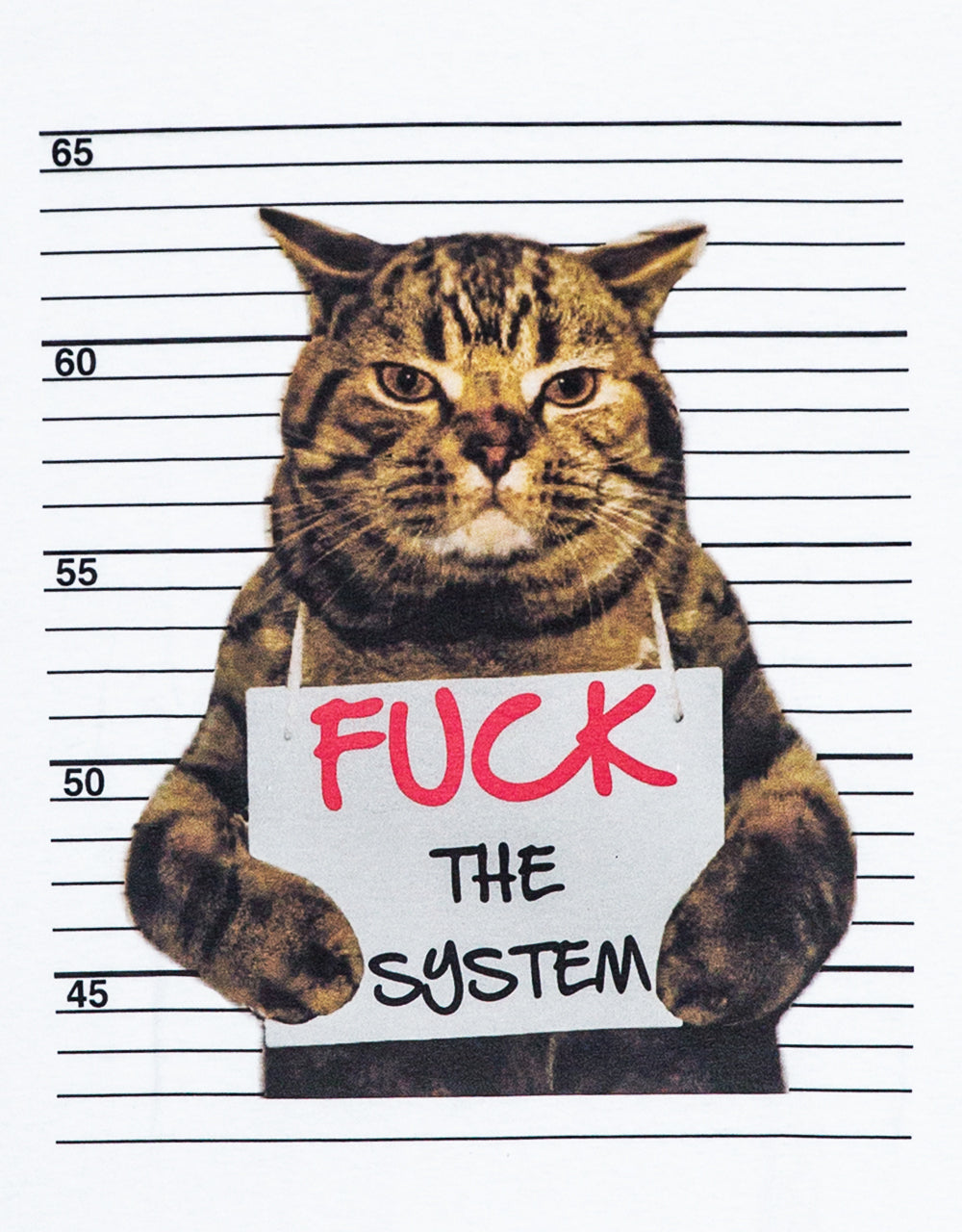 T-Shirt Fuck the system